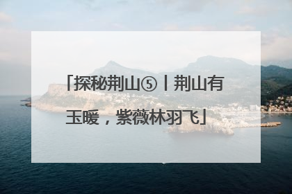 探秘荆山⑤丨荆山有玉暖，紫薇林羽飞