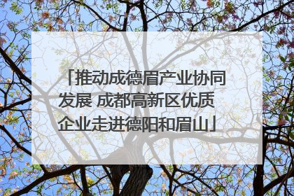 推动成德眉产业协同发展 成都高新区优质企业走进德阳和眉山