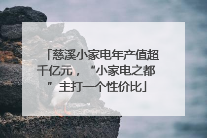 慈溪小家电年产值超千亿元，“小家电之都”主打一个性价比