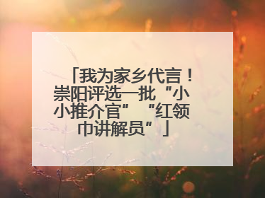 我为家乡代言！崇阳评选一批“小小推介官”“红领巾讲解员”