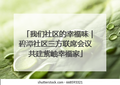 我们社区的幸福味｜碧潭社区三方联席会议共建紫岫幸福家
