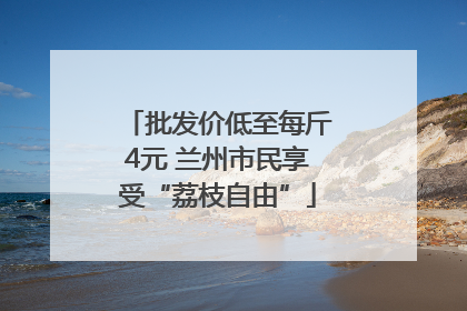批发价低至每斤4元 兰州市民享受“荔枝自由”