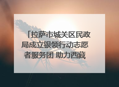 拉萨市城关区民政局成立银领行动志愿者服务团 助力西藏银发经济发展
