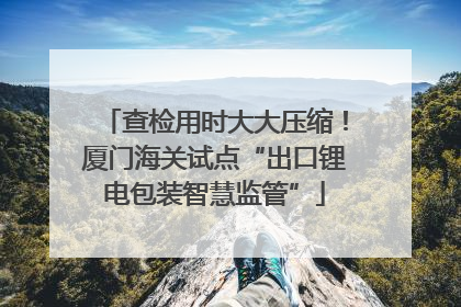 查检用时大大压缩！厦门海关试点“出口锂电包装智慧监管”