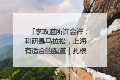 李政道所许金祥：科研是马拉松，上海有适合的跑道｜扎根上海，从0到1