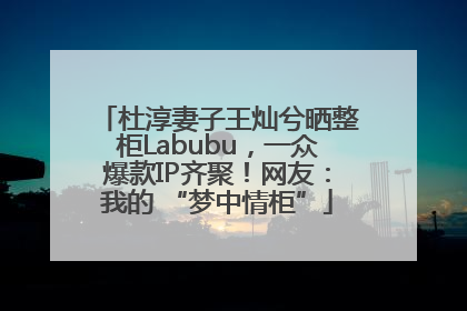 杜淳妻子王灿兮晒整柜Labubu，一众爆款IP齐聚！网友：我的 “梦中情柜”