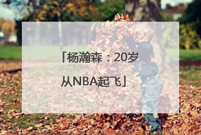 杨瀚森：20岁从NBA起飞
