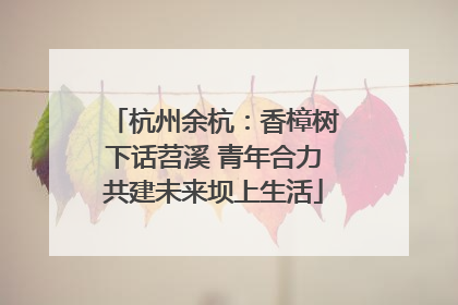 杭州余杭：香樟树下话苕溪 青年合力共建未来坝上生活