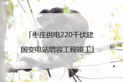 枣庄供电220千伏建国变电站增容工程竣工