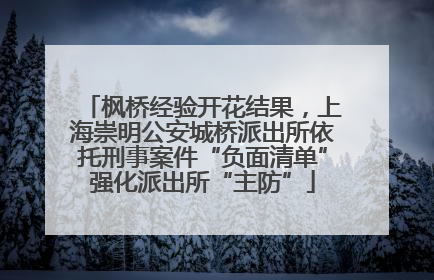 枫桥经验开花结果，上海崇明公安城桥派出所依托刑事案件“负面清单”强化派出所“主防”