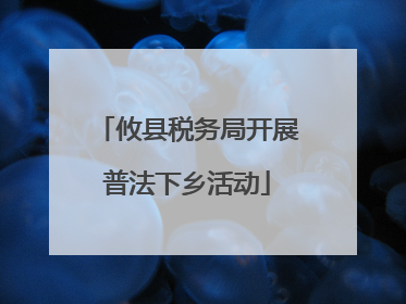攸县税务局开展普法下乡活动