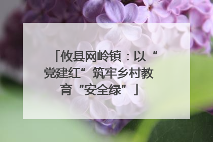 攸县网岭镇：以“党建红”筑牢乡村教育“安全绿”