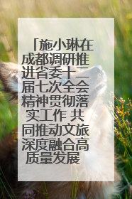 施小琳在成都调研推进省委十二届七次全会精神贯彻落实工作 共同推动文旅深度融合高质量发展 加快打造支柱产业民生产业幸福产业