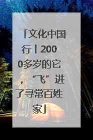 文化中国行丨2000多岁的它，“飞”进了寻常百姓家