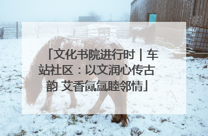 文化书院进行时｜车站社区：以文润心传古韵 艾香氤氲睦邻情