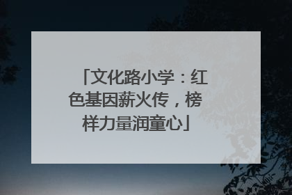 文化路小学：红色基因薪火传，榜样力量润童心