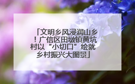 文明乡风浸润山乡！广信区田墩镇黄坑村以“小切口”绘就乡村振兴大图景