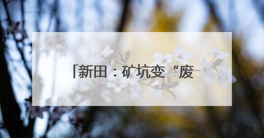 新田：矿坑变“废”为“宝” 释放生态活力与效益