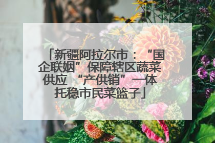 新疆阿拉尔市：“国企联姻”保障辖区蔬菜供应 “产供销”一体托稳市民菜篮子