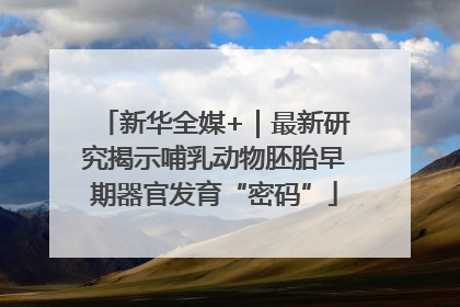 新华全媒+｜最新研究揭示哺乳动物胚胎早期器官发育“密码”