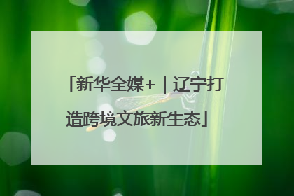 新华全媒+｜辽宁打造跨境文旅新生态