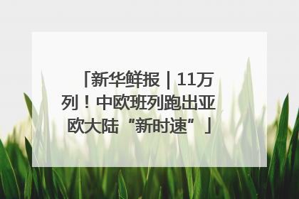 新华鲜报｜11万列！中欧班列跑出亚欧大陆“新时速”