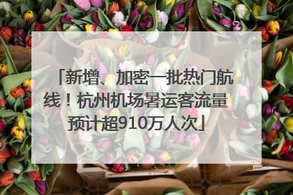 新增、加密一批热门航线！杭州机场暑运客流量预计超910万人次