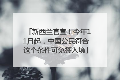 新西兰官宣！今年11月起，中国公民符合这个条件可免签入境