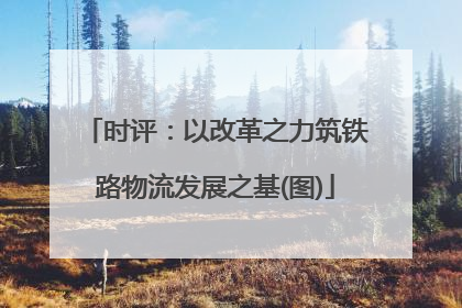 时评：以改革之力筑铁路物流发展之基(图)
