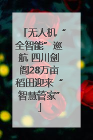 无人机“全智能”巡航 四川剑阁28万亩稻田迎来“智慧管家”