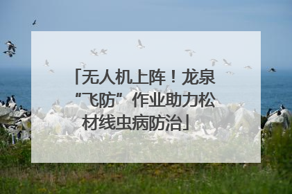 无人机上阵！龙泉“飞防”作业助力松材线虫病防治