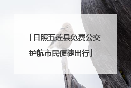 日照五莲县免费公交护航市民便捷出行