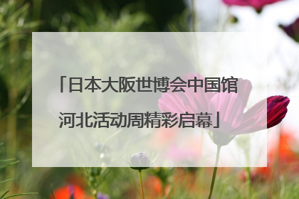 日本大阪世博会中国馆河北活动周精彩启幕