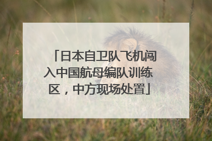 日本自卫队飞机闯入中国航母编队训练区，中方现场处置