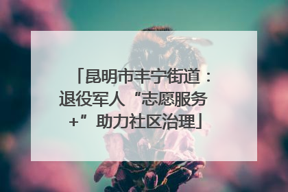 昆明市丰宁街道：退役军人“志愿服务+”助力社区治理