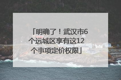 明确了！武汉市6个远城区享有这12个事项定价权限