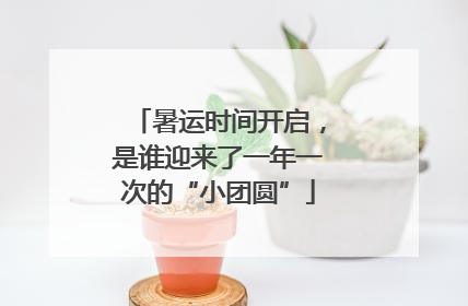 暑运时间开启，是谁迎来了一年一次的“小团圆”