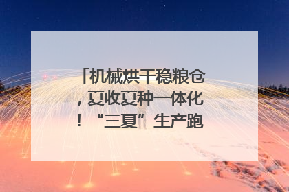 机械烘干稳粮仓，夏收夏种一体化！“三夏”生产跑出加速度｜麦报