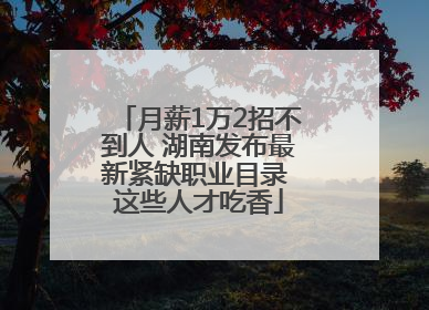月薪1万2招不到人 湖南发布最新紧缺职业目录 这些人才吃香