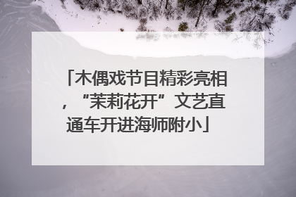 木偶戏节目精彩亮相，“茉莉花开”文艺直通车开进海师附小