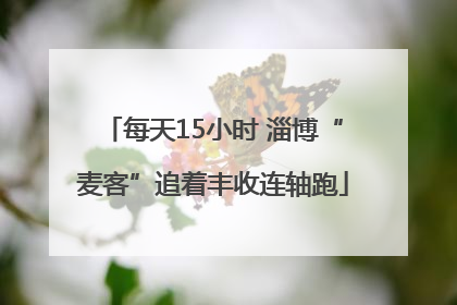 每天15小时 淄博“麦客”追着丰收连轴跑