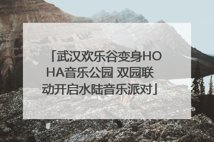武汉欢乐谷变身HOHA音乐公园 双园联动开启水陆音乐派对