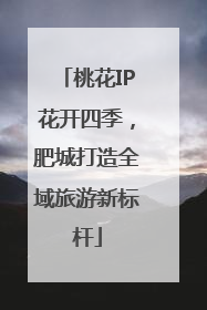 桃花IP花开四季，肥城打造全域旅游新标杆