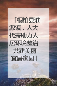 桐柏县淮源镇：人大代表助力人居环境整治 共建美丽宜居家园