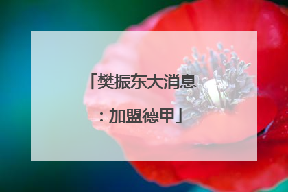 樊振东大消息：加盟德甲