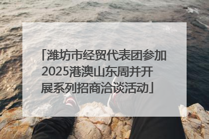 潍坊市经贸代表团参加2025港澳山东周并开展系列招商洽谈活动