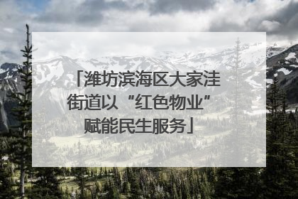 潍坊滨海区大家洼街道以“红色物业”赋能民生服务