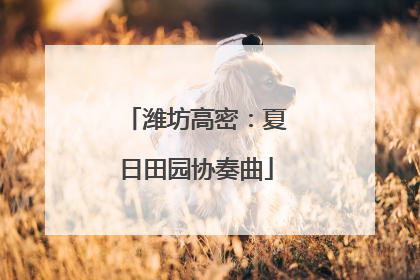 潍坊高密：夏日田园协奏曲