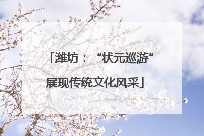 潍坊：“状元巡游”展现传统文化风采
