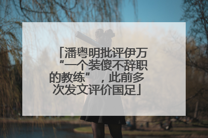 潘粤明批评伊万“一个装傻不辞职的教练”，此前多次发文评价国足
